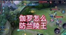 伽罗出装攻略视频