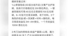 《DNF手游白嫖天空套攻略》（精通游戏技巧，轻松获取顶级装备）