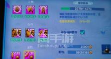《以神武手游宠物皮肤加成攻略》（解析宠物皮肤加成技巧，让你战无不胜！）