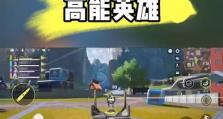 吃鸡攻略大全（玩转吃鸡，赢得冠军的秘诀和技巧）