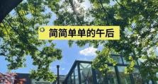 《揭秘小时代倾覆五星攻略》（不可忽视的年轻势力，小时代如何改变我们的阅读习惯）