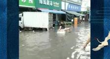 暴雨真结局攻略（选择、决策、探索，打造属于自己的暴雨故事）