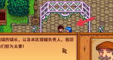 星露谷物语恋爱攻略（开启心灵牧场，浪漫邂逅田园爱恋）